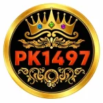 PaK1947 Game logo image