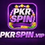 PKR Spin Game