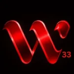 W333 Game