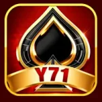 Y71 Game