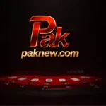 PAK New Game