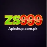 ZS999 Game