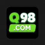 Q98 Game Image